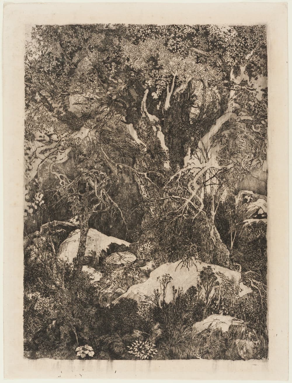 A work made of etching and drypoint in black ink on cream laid paper.