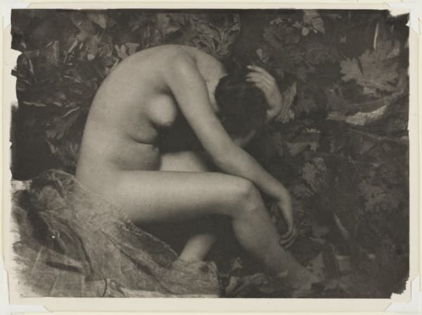 A work made of photogravure.