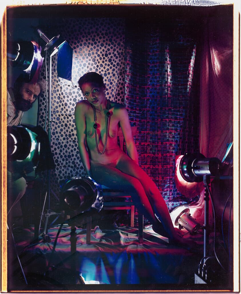 A work made of internal dye diffusion transfer print.