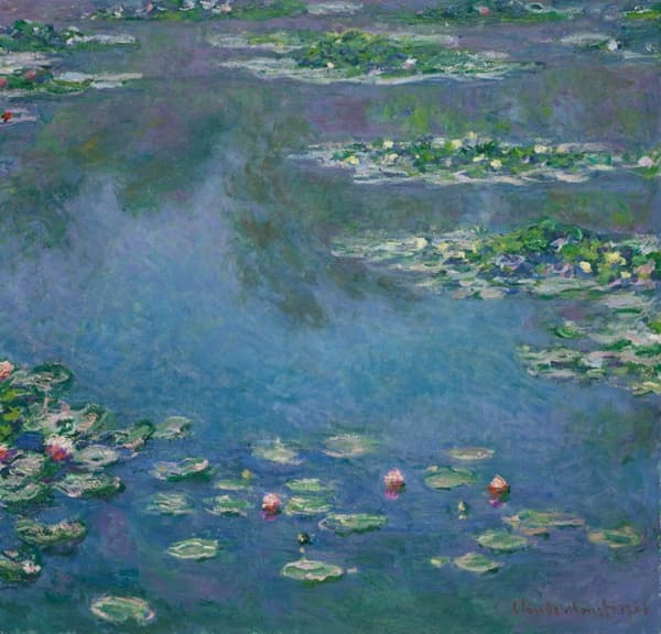 Painting of a pond seen up close spotted with thickly painted pink and white water lilies and a shadow across the top third of the picture.