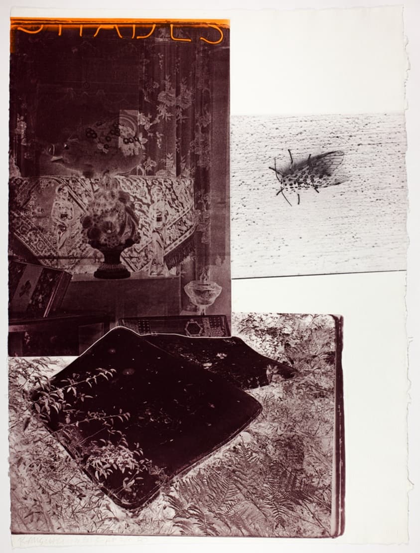 A work made of color photoetching from three plates on white wove paper.