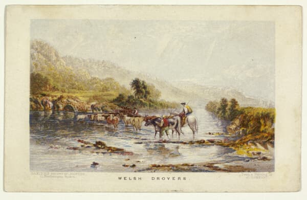 A work made of steel etching, aquatint, and stipple printed in purple, with block printing in colors, on wove paper.
