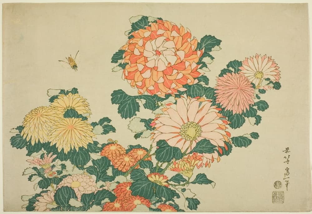A color woodblock print of pink, orange and yellow chrysanthemums. In the upper rihgt a tiny bee flies above the flowers. Signature and seals in the lower left corner.